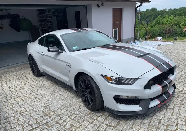 ford mustang Ford Mustang cena 245000 przebieg: 64000, rok produkcji 2016 z Żabno